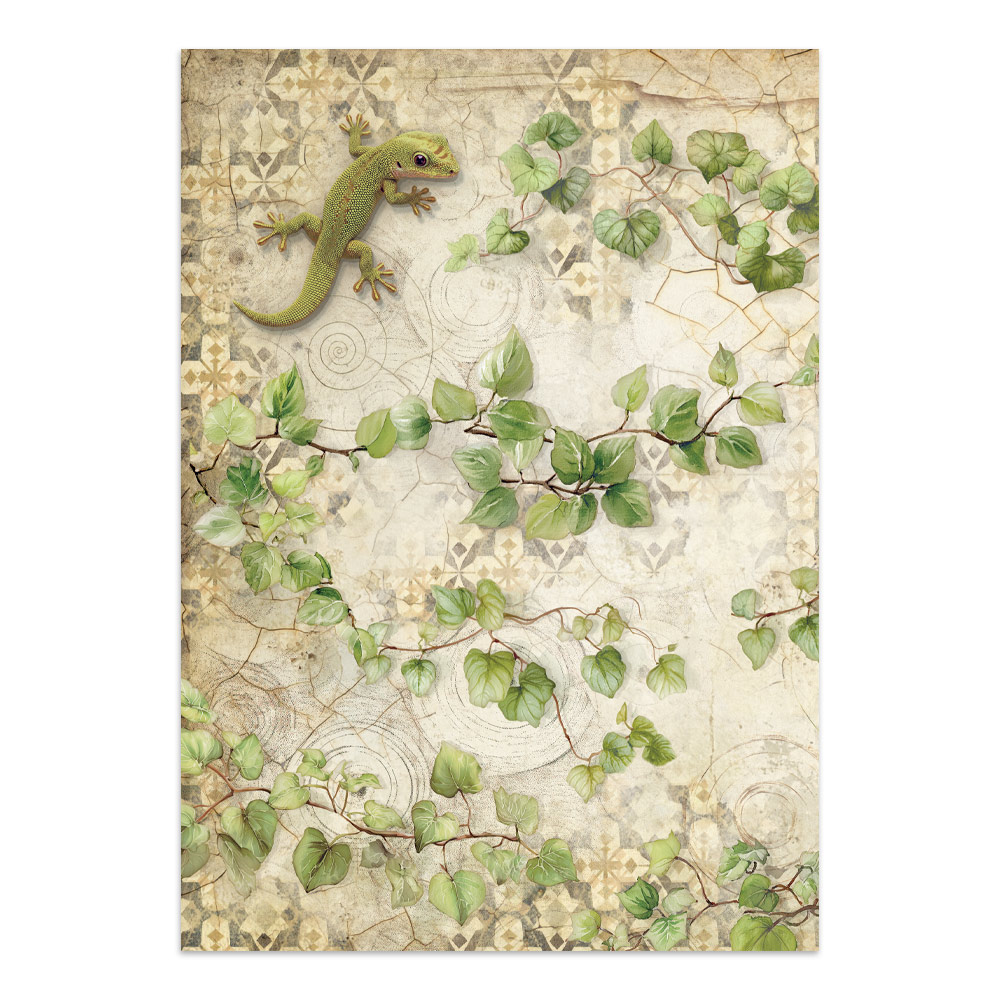 Stamperia – Junk Journal – adesivi, ritagli e sfondi - All Around - immagine 7