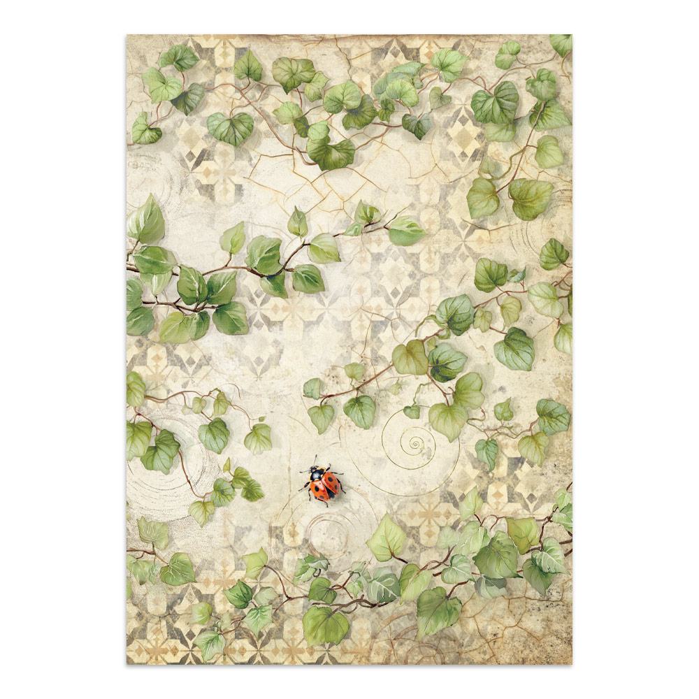 Stamperia – Junk Journal – adesivi, ritagli e sfondi - All Around - immagine 8