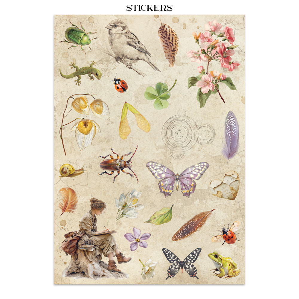 Stamperia – Junk Journal – adesivi, ritagli e sfondi - All Around - immagine 9