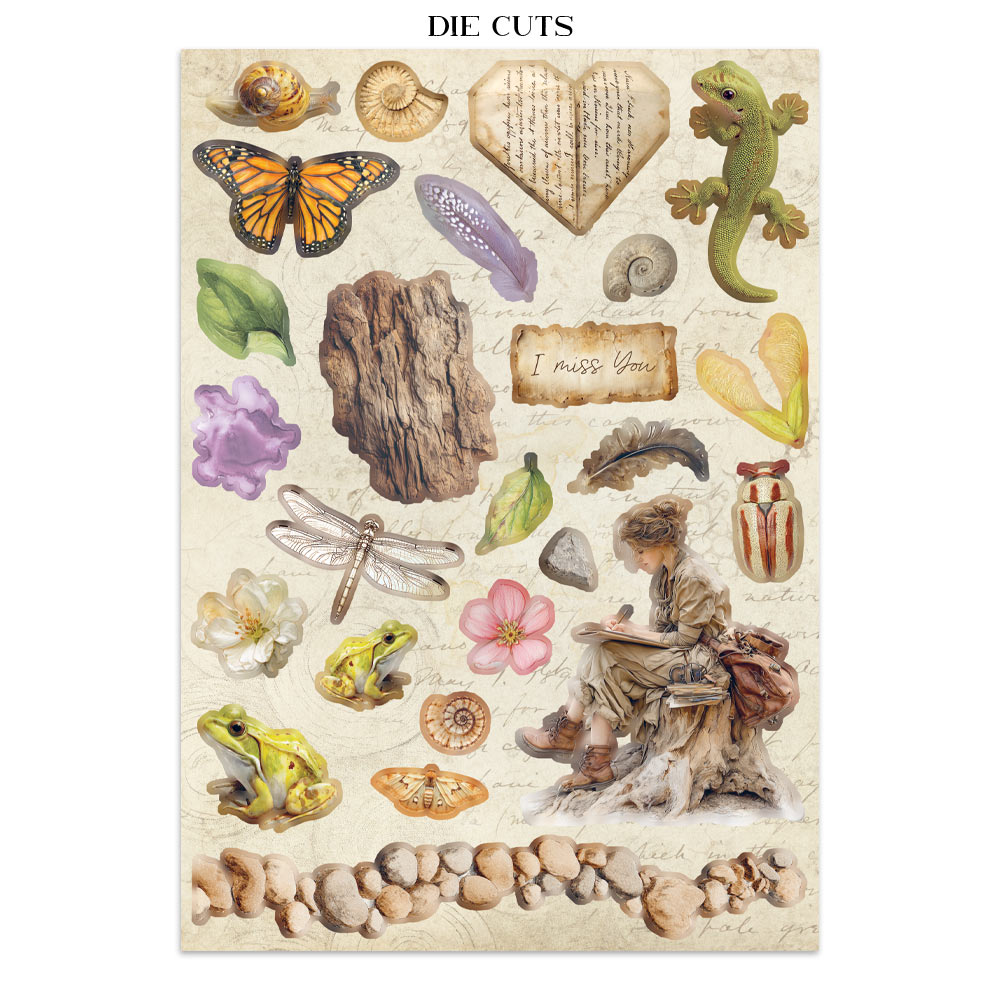 Stamperia – Junk Journal – adesivi, ritagli e sfondi - All Around - immagine 11
