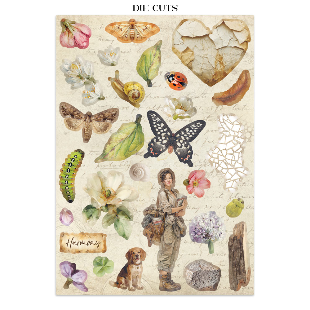 Stamperia – Junk Journal – adesivi, ritagli e sfondi - All Around - immagine 12