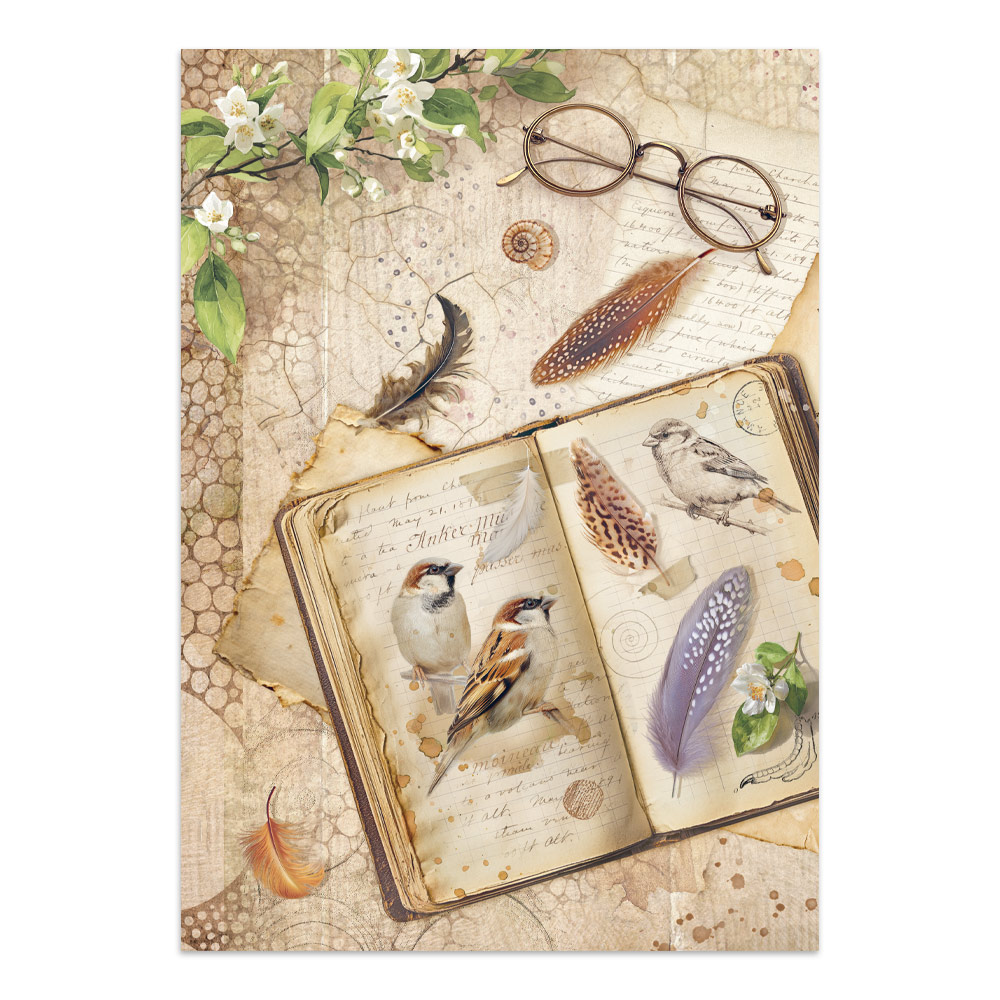 Stamperia – Junk Journal – adesivi, ritagli e sfondi - All Around - immagine 14
