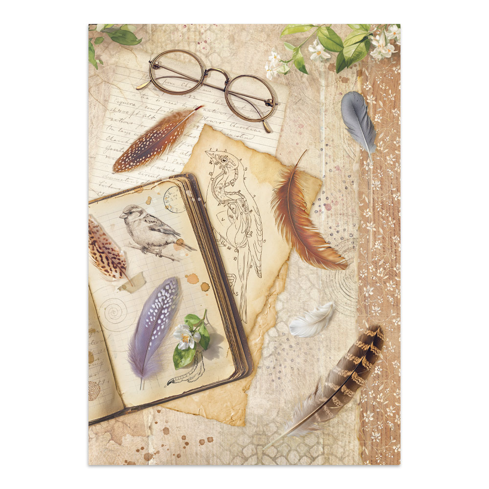Stamperia – Junk Journal – adesivi, ritagli e sfondi - All Around - immagine 15