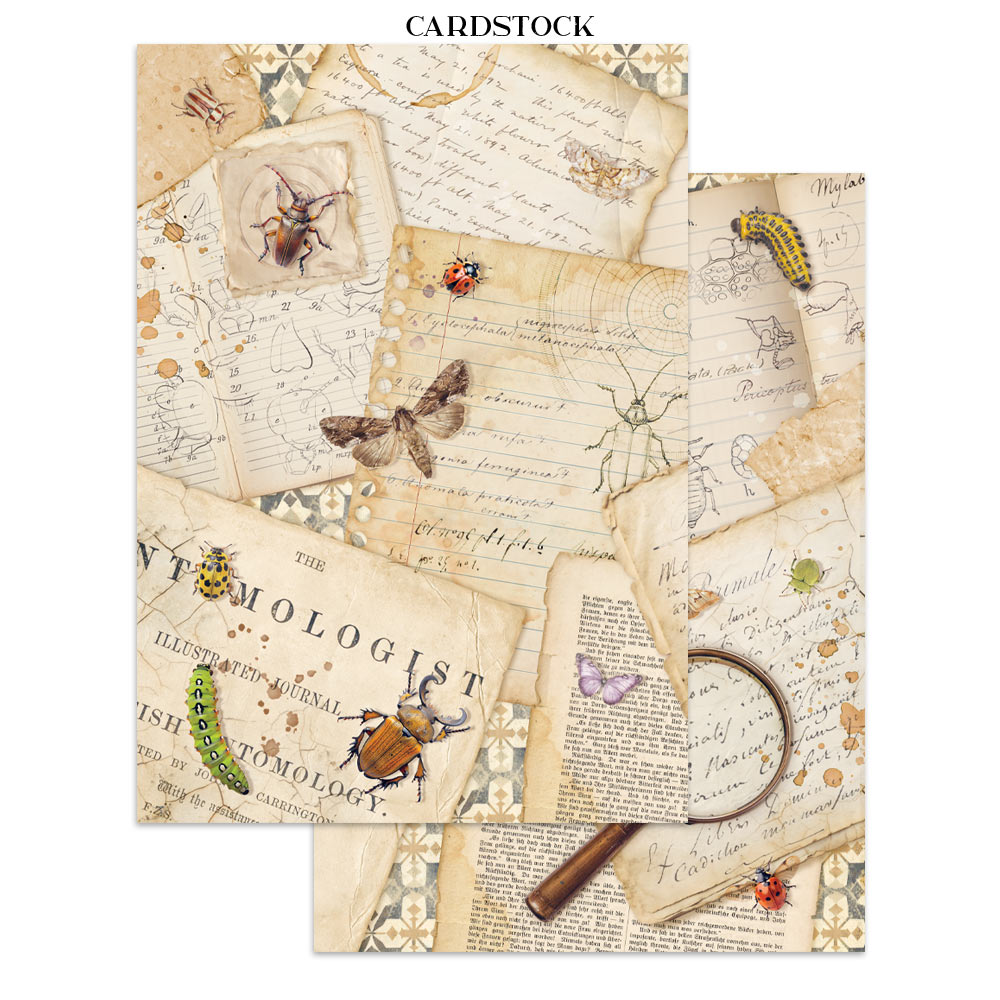 Stamperia – Junk Journal – adesivi, ritagli e sfondi - All Around - immagine 16