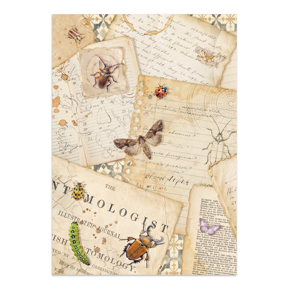 Stamperia – Junk Journal – adesivi, ritagli e sfondi - All Around - immagine 17
