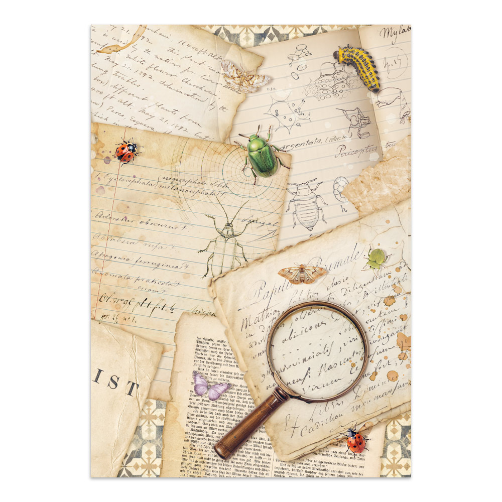 Stamperia – Junk Journal – adesivi, ritagli e sfondi - All Around - immagine 18