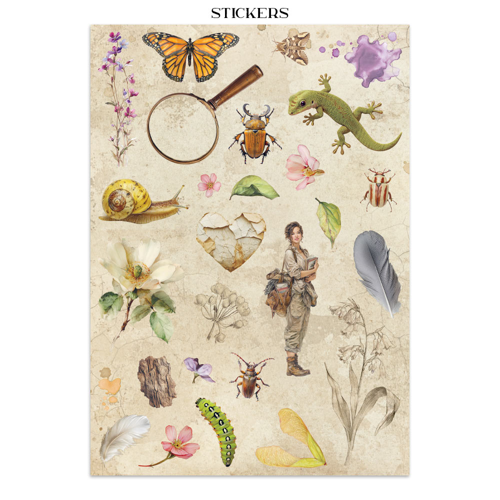 Stamperia – Junk Journal – adesivi, ritagli e sfondi - All Around - immagine 19