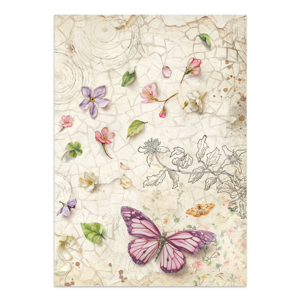 Stamperia – Junk Journal – adesivi, ritagli e sfondi - All Around - immagine 22
