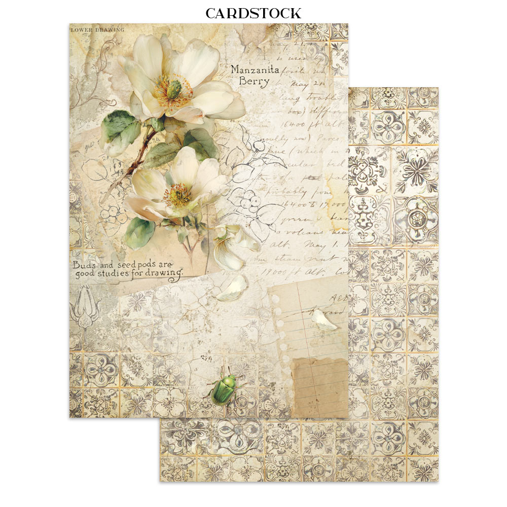Stamperia – Junk Journal – adesivi, ritagli e sfondi - All Around - immagine 24