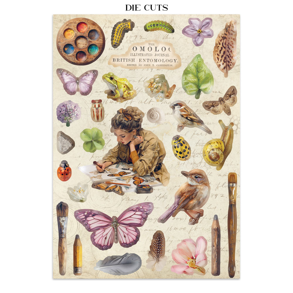 Stamperia – Junk Journal – adesivi, ritagli e sfondi - All Around - immagine 28