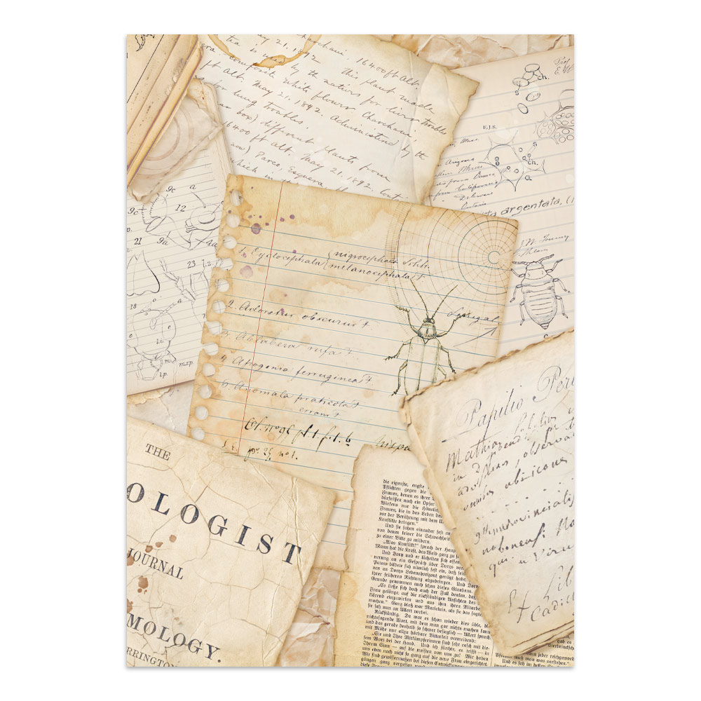 Stamperia – Junk Journal – adesivi, ritagli e sfondi - All Around - immagine 35