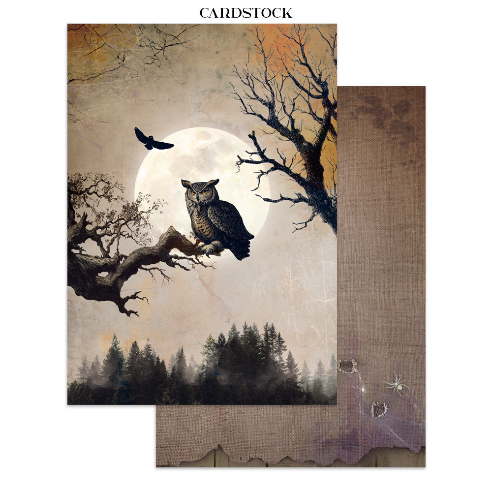 Stamperia – Junk Journal – adesivi, ritagli e sfondi - Halloween - immagine 31
