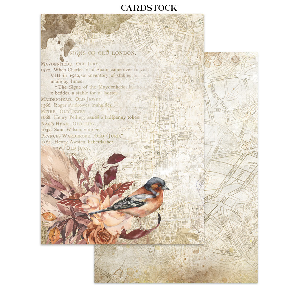 Stamperia – Junk Journal – adesivi, ritagli e sfondi - Our Way - immagine 21