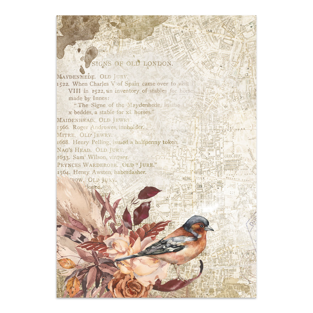Stamperia – Junk Journal – adesivi, ritagli e sfondi - Our Way - immagine 22