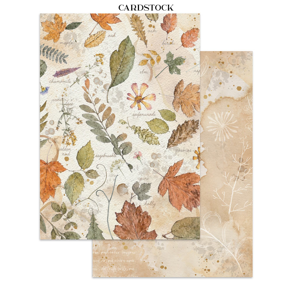 Stamperia – Junk Journal – adesivi, ritagli e sfondi - Flowers and Poems - immagine 6