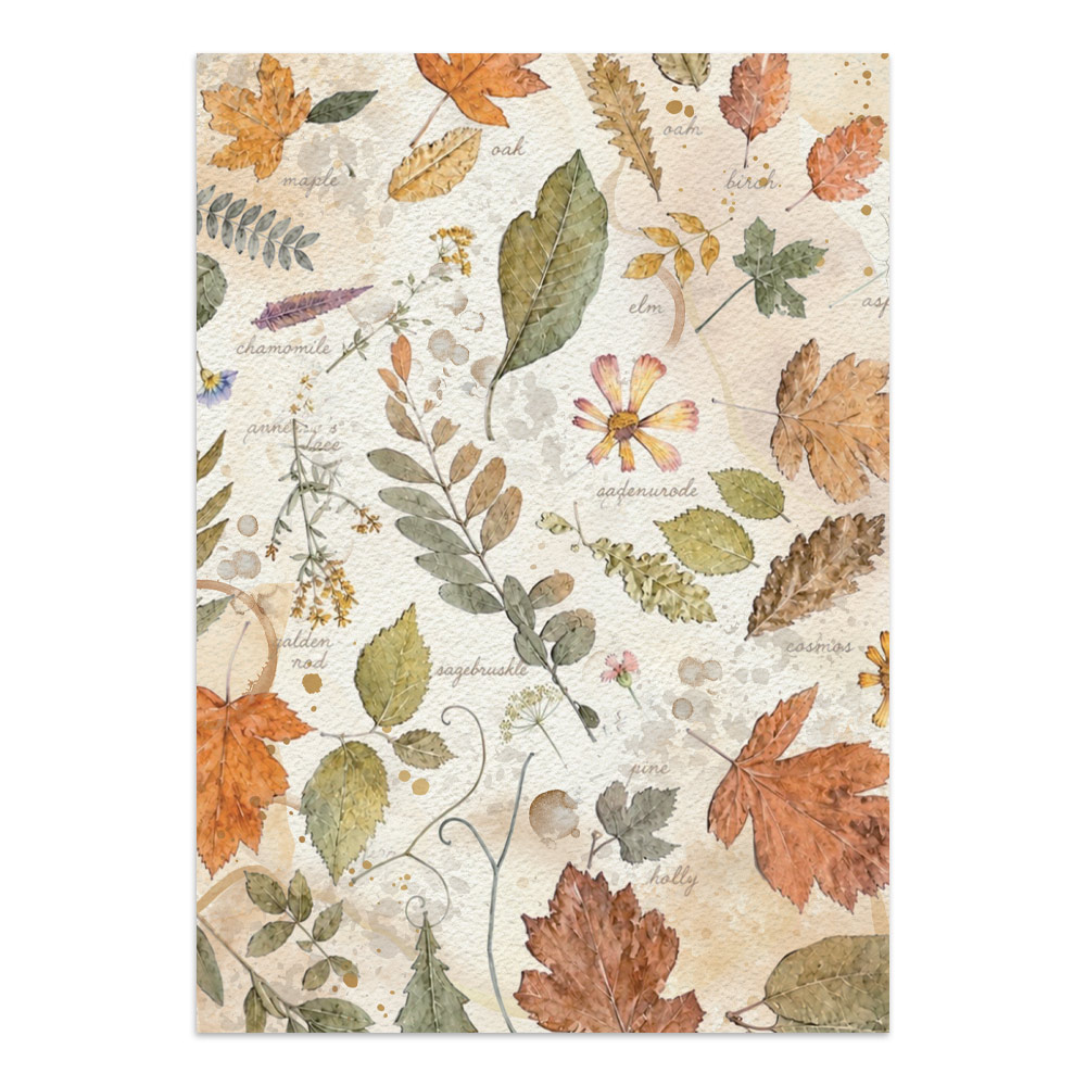 Stamperia – Junk Journal – adesivi, ritagli e sfondi - Flowers and Poems - immagine 7