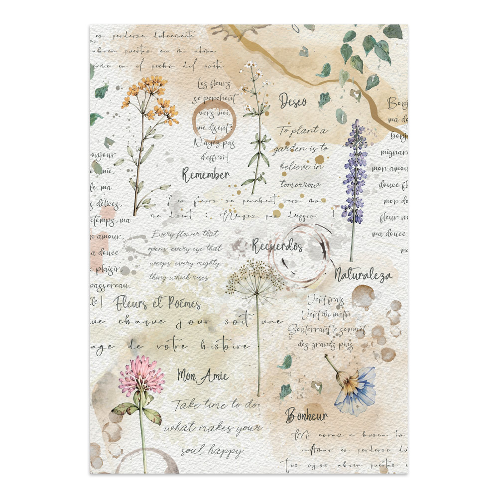 Stamperia – Junk Journal – adesivi, ritagli e sfondi - Flowers and Poems - immagine 14