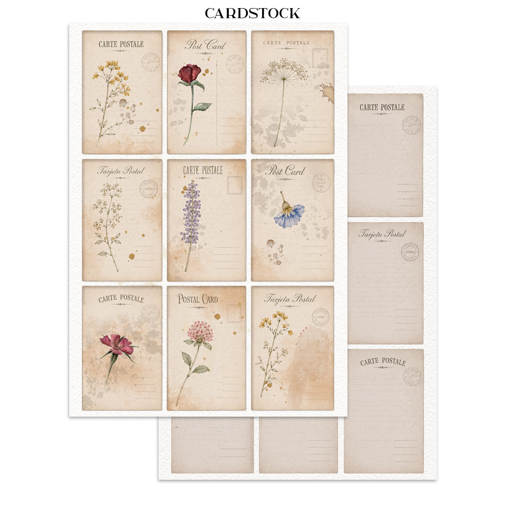 Stamperia – Junk Journal – adesivi, ritagli e sfondi - Flowers and Poems - immagine 29
