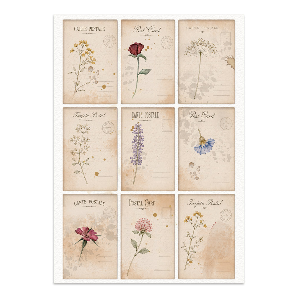 Stamperia – Junk Journal – adesivi, ritagli e sfondi - Flowers and Poems - immagine 30