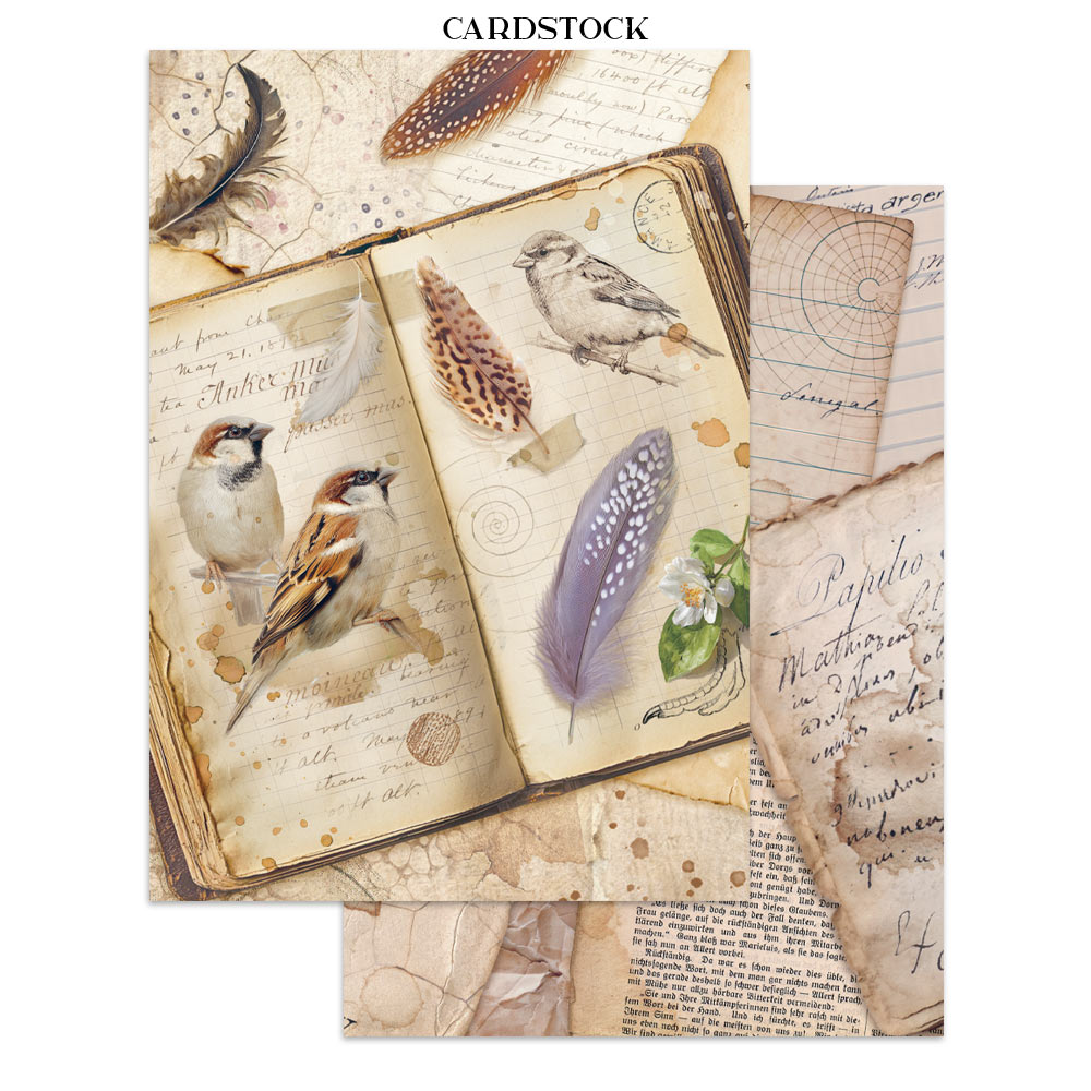 Stamperia – Junk Journal Focus Points A5 - All Around - immagine 3