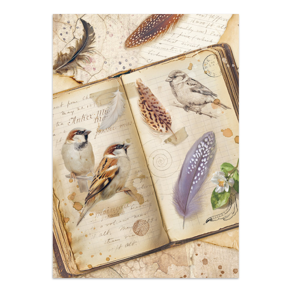 Stamperia – Junk Journal Focus Points A5 - All Around - immagine 4