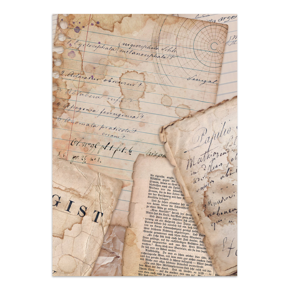 Stamperia – Junk Journal Focus Points A5 - All Around - immagine 5