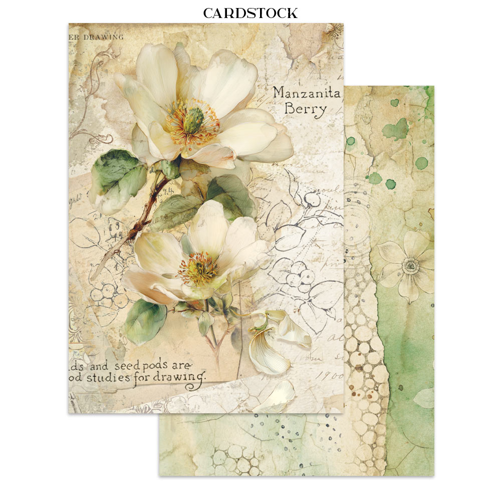 Stamperia – Junk Journal Focus Points A5 - All Around - immagine 6