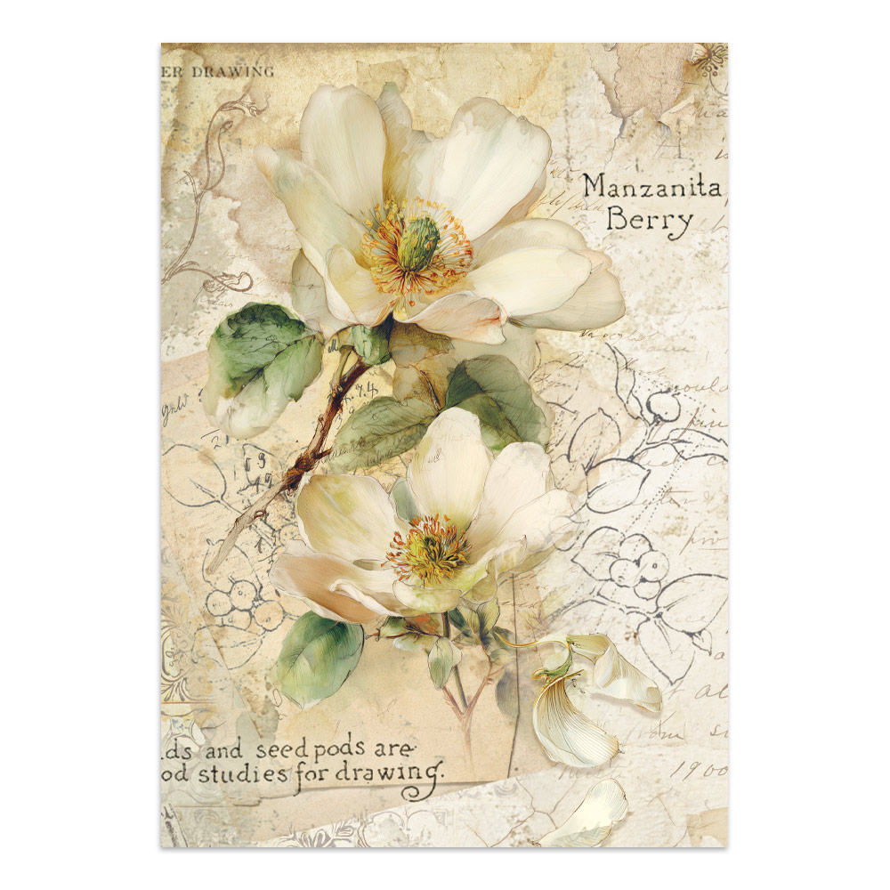 Stamperia – Junk Journal Focus Points A5 - All Around - immagine 7