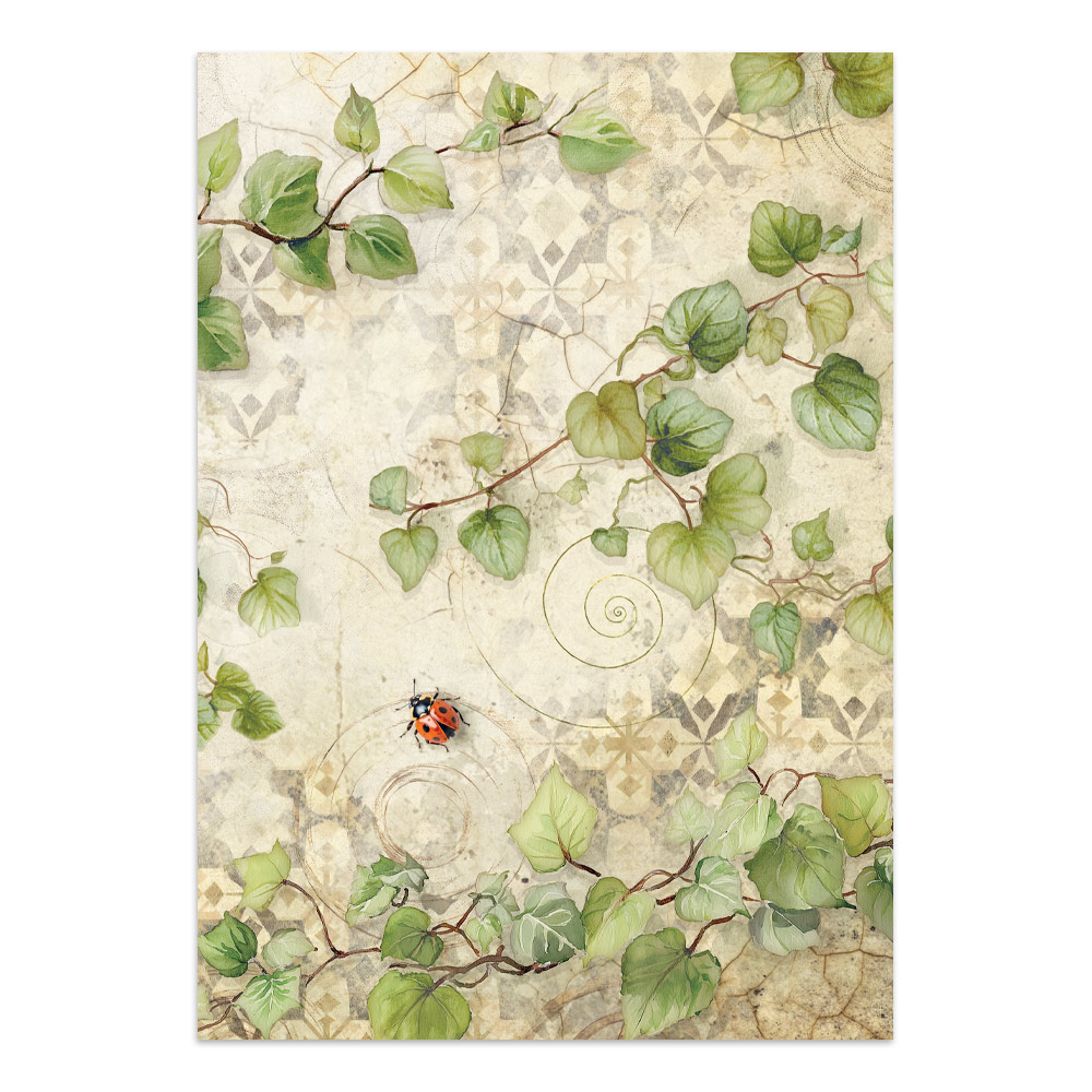 Stamperia – Junk Journal Focus Points A5 - All Around - immagine 11
