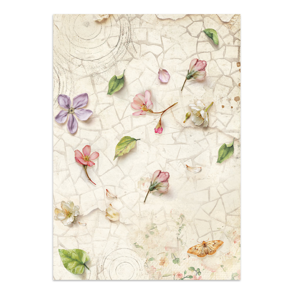 Stamperia – Junk Journal Focus Points A5 - All Around - immagine 13