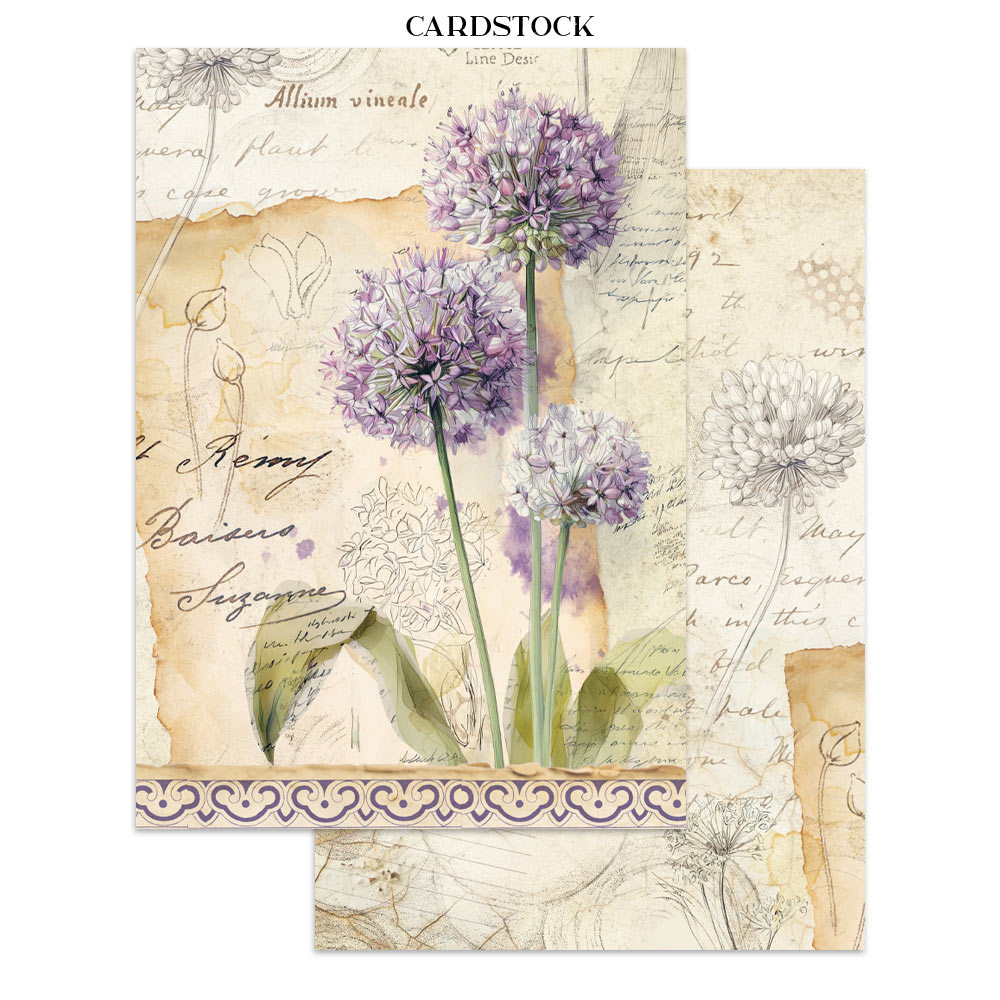 Stamperia – Junk Journal Focus Points A5 - All Around - immagine 15