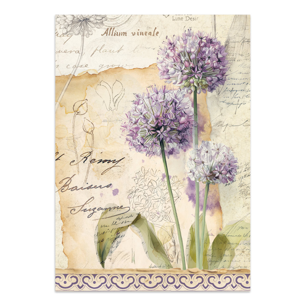 Stamperia – Junk Journal Focus Points A5 - All Around - immagine 16