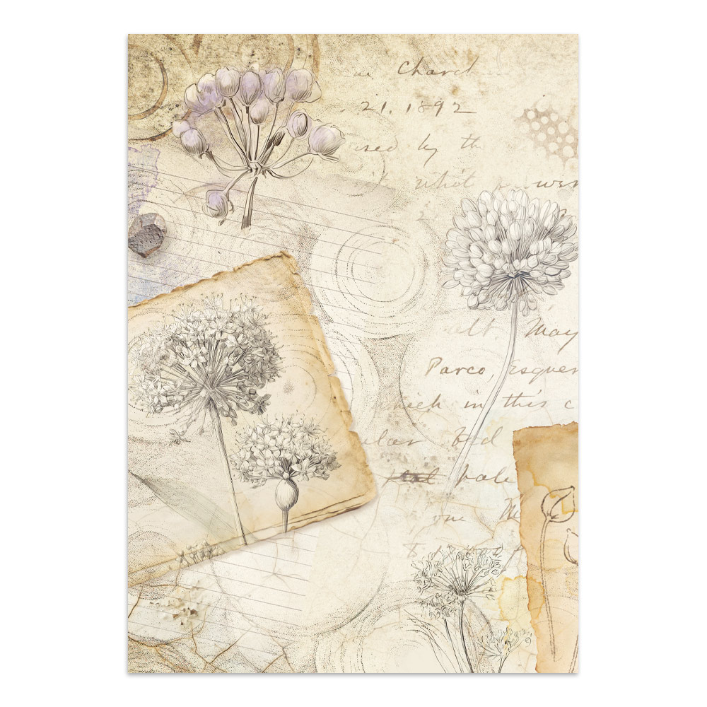 Stamperia – Junk Journal Focus Points A5 - All Around - immagine 17