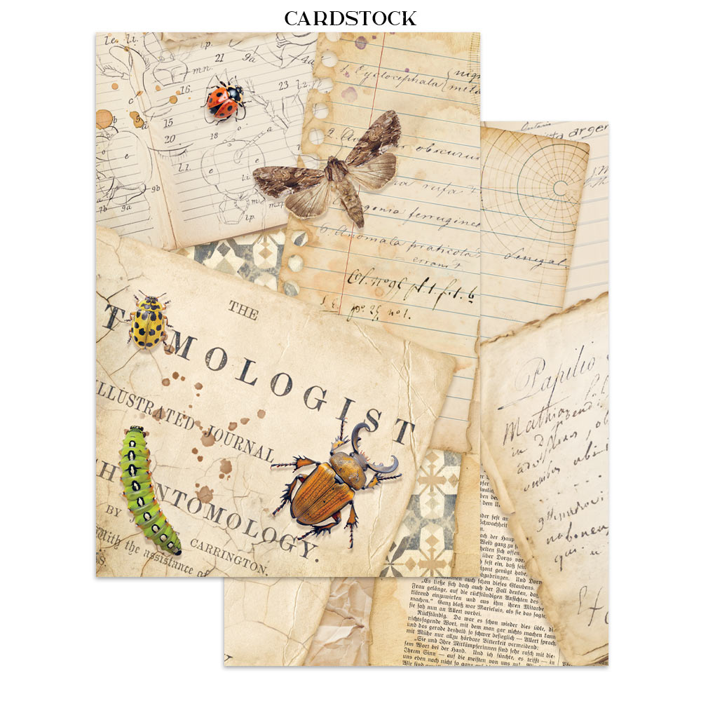 Stamperia – Junk Journal Focus Points A5 - All Around - immagine 18