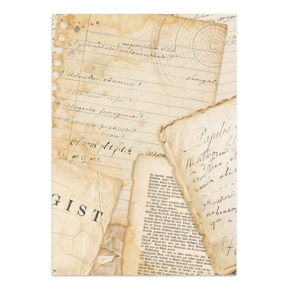 Stamperia – Junk Journal Focus Points A5 - All Around - immagine 20