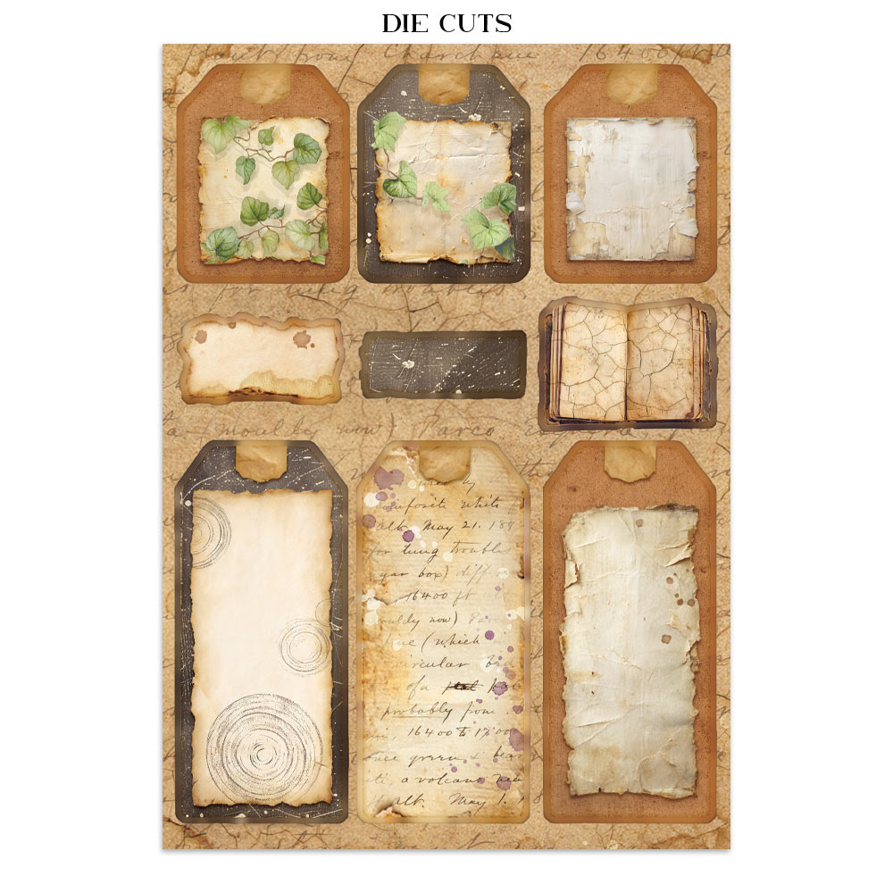 Stamperia – Junk Journal Focus Points A5 - All Around - immagine 27