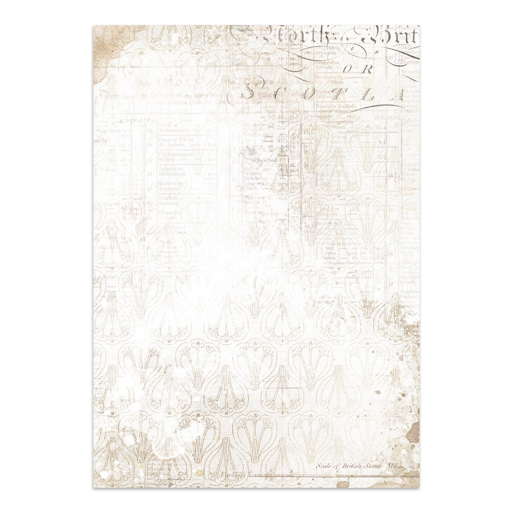 Stamperia – Junk Journal Focus Points A5 - Our Way - immagine 14