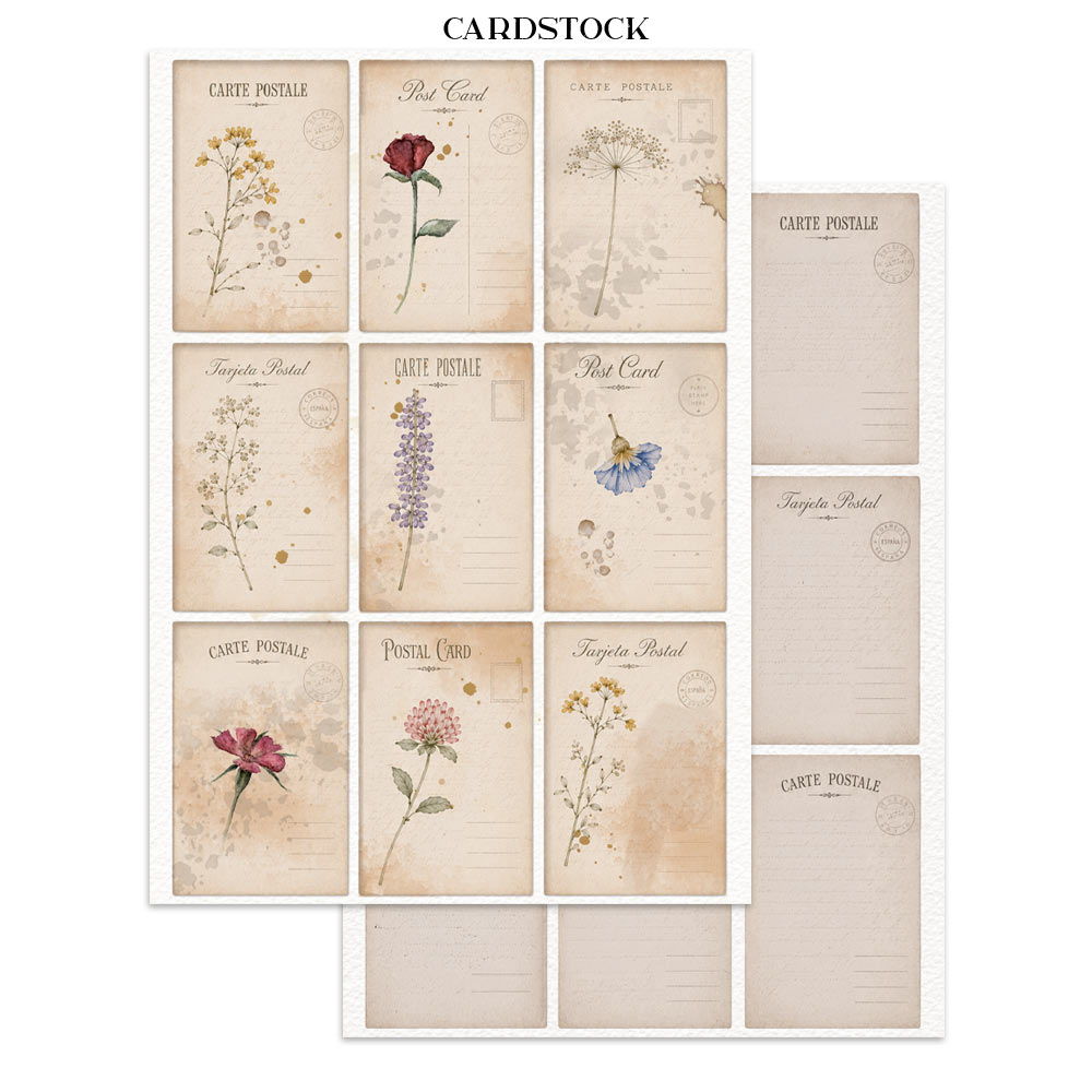 Stamperia – Junk Journal Focus Points A5 - Flowers and Poems - immagine 9