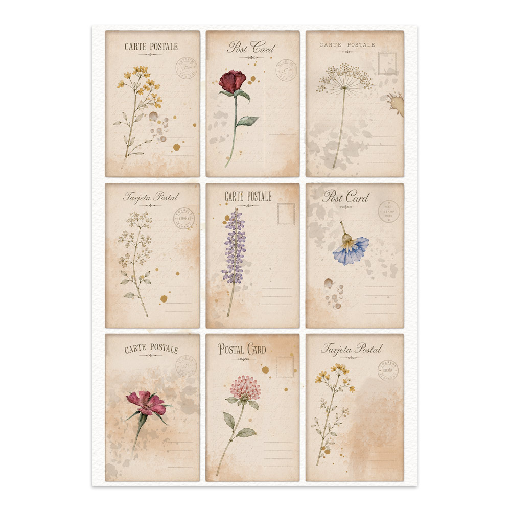 Stamperia – Junk Journal Focus Points A5 - Flowers and Poems - immagine 10