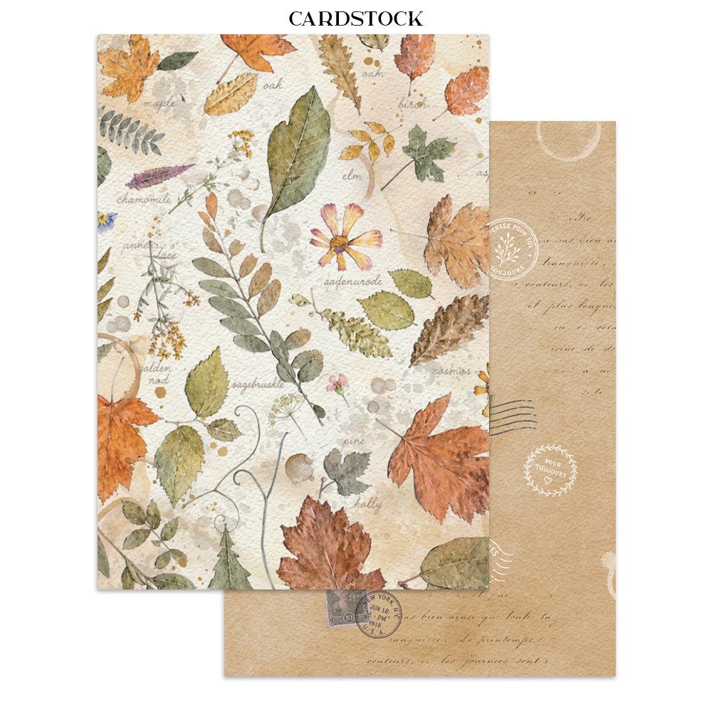 Stamperia – Junk Journal Focus Points A5 - Flowers and Poems - immagine 12