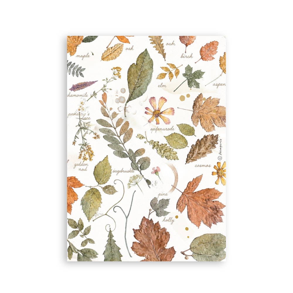 Stamperia – Blocco washi A5 – 8 fogli Flowers and Poems - immagine 8